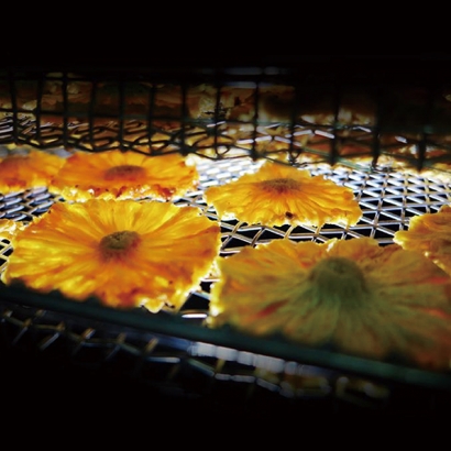 2011水果乾及堅果生產線通過慈心有機認證 第一支有機鳳梨太陽花果.jpg 2011水果乾及堅果生產線通過慈心有機認證 第一支有機鳳梨太陽花果.jpg